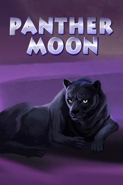 Panther Moon