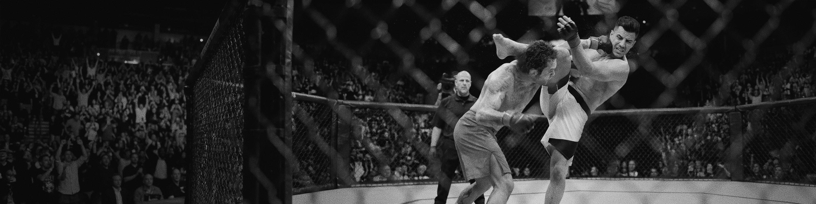 CashCrab Monatsturnier